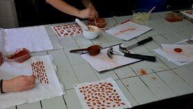 SCALES in Textiles 2025. Photo by Petra Vicianova