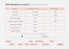 Paras lohko alkutilanne
