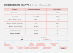 Analyysi lopputulos paras lohko