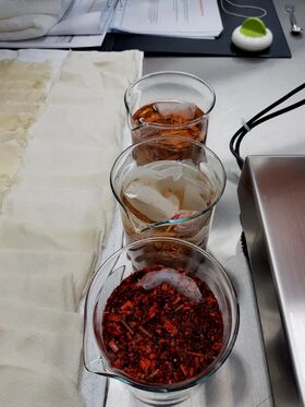 Kolme lasiastia eri sisällöillä pöydällä: ruskea neste, kirkas neste jäällä ja punaiset pilkotut ainekset.