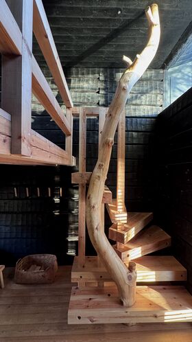 A wooden spiral staircase with a natural tree trunk as the central support, set against dark walls.