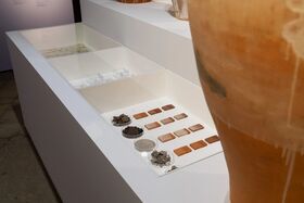 A display case with various clay samples and small tiles. A large ceramic pot is visible on the right.