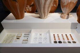 Large ceramic vases on a white display stand with samples of plants, insects, and soil in compartments below.