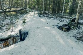 A snowy forest path with a small stream running through a culvert. Trees surround the path.
