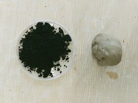 A petri dish with black powder on the left and a lump of grey clay on the right, placed on a light wooden surface.