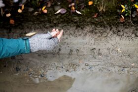 A hand in grey fingerless gloves and a teal sleeve is held over muddy ground with scattered leaves.