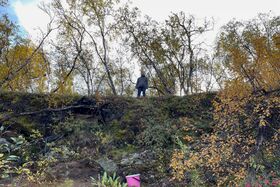 A person stands on a hilltop surrounded by autumn trees. A pink bucket is visible at the bottom of the hill.