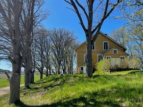 A yellow wooden house on a grassy hill surrounded by leafless trees under a clear blue sky.