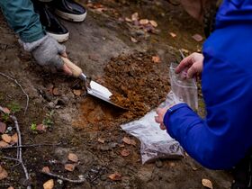 Two people collecting soil samples with a trowel and plastic bags in a forested area.