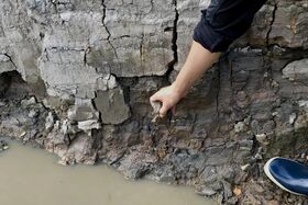 A person in a dark sleeve touches a cracked, rocky surface near muddy water.