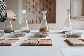 A hand reaches for one of four flasks containing liquids. Petri dishes and labelled tiles are on the table.