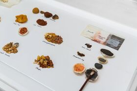Various natural pigments and materials displayed on a white surface, labelled with their names.