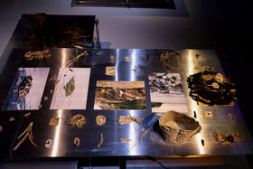 Metallipöytä, jossa on luontokuvia ja erilaisia luonnonmateriaaleja kuten oksia, lehtiä ja kiviä.