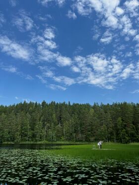 Lake with waterlilies 