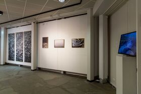 Art gallery with three framed pictures on the wall and a screen displaying a nature scene on the right.