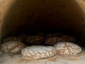 Several round loaves of bread baking inside a stone oven with a dark interior.