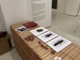 A table with insect illustrations, a red book, and stamps in a gallery setting with white walls.