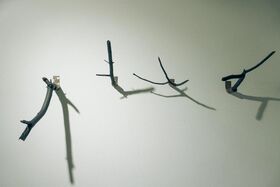 Four dark branches mounted on a light wall, casting shadows. Each branch is attached with a metal bracket.