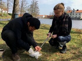Two people are collecting samples by a lake. One is kneeling, holding a bag, while the other uses a tool. Trees and buildings are visible.