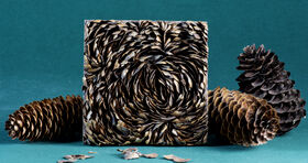 Square artwork made of pinecone scales, surrounded by three pinecones on a teal background.
