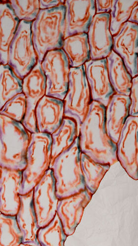 Abstract pattern of rounded red, purple and teal shapes on a pale background, like magnified cells