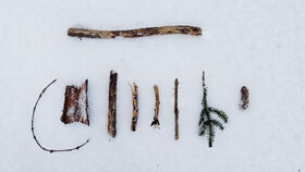 Sticks, bark and a green conifer twig neatly arranged on white snow