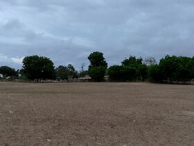 Wide dry brown field with scattered litter, trees and small houses in the distance under cloudy sky