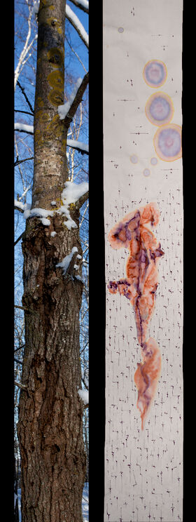 Split image: snowy tree trunk outdoors beside tall abstract painting with circular stains and ink lines.