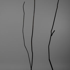 Three thin, dark metal rods standing upright against a plain grey background