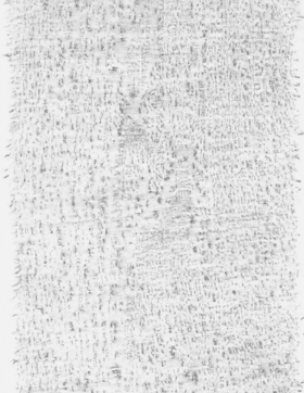 Close up of frottage pencil texture of tree bark on paper.