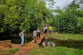 Group of people on a narrow wooden bridge over a stream in lush green forest