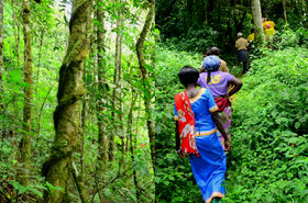 Group of people in bright clothes walking on a narrow path through dense green forest