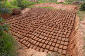 Rows of brown adobe bricks drying in the sun on a cleared earth plot in a rural area