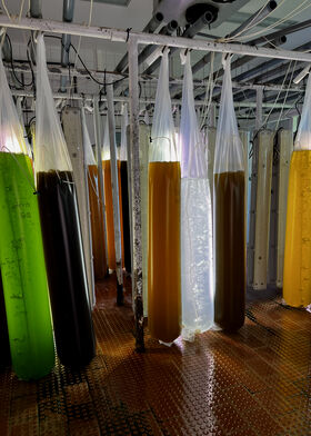Tall plastic bags of green, dark and amber liquids hang in rows in a lab with pipes above