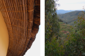 Close-up thatched roof on left, leafy trees and terraced green hills with paths on right