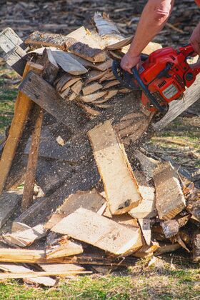 Person sawing a pile of cut logs with a red chainsaw, wood chips flying around outdoors