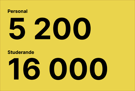 Gul grafik med svart text: personal 5 200 och studerande 16 000 i stora siffror