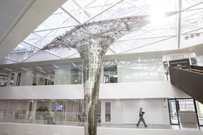 Aalto-yliopisto Mikko Raskinen Lumen Väre