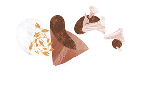 Kuvitus: Ida-Maria Wikström. Kotona voi kasvattaa sieniä kahvinporoissa tai kauran akanoissa.