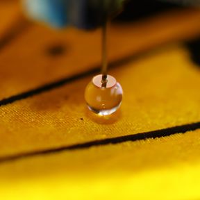 Microscope droplet probe on a butterfly wing