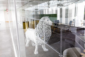 Lotta_Mattila_Lions_Share_photo_Mikko_Raskinen