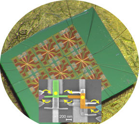 Public defence, Shilpi Singh, M.Sc.