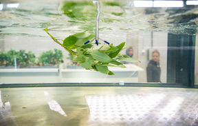 Environmental_Hydraulics_Lab_Water_Engineering, kuva Mikko Raskinen