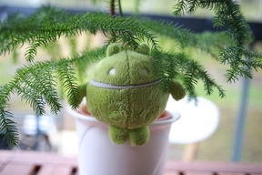 Väitös Luiza Sayfullina