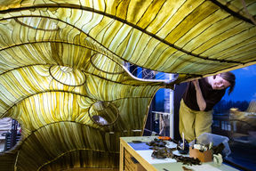 Julia Lohmannin Hidaka Ohmu. Kuva: Mikko Raskinen