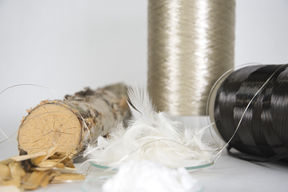 Biopolymer Chemistry and Engineering, photo: Valeria Azovskaya