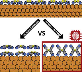 Image accompanying publication that resolves the structure of TCNE films on copper
