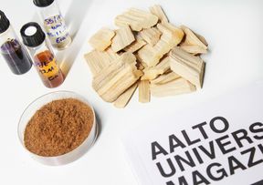 CHEM_Bio_Marianna_Granatier_From wood to fiber