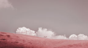 Photo by Petri Juntunen, called Untitled (Of Clouds and Clocks), 2019. A horse standing in front of clouds in the red-shaded picture.