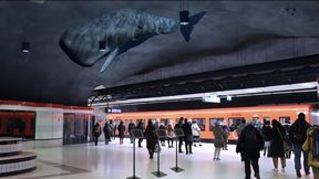 Project Underground: Whales Illustration: Sylvía Lind Birkiland (Icelandic University of Arts, Reykjavik), Ada Rotomskyte (VDA Vilnius Academy of Arts, Lithuania) and Gintare Ruksenaite (School of Arts, Design and Architecture)